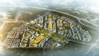 北京大兴国际机场临空经济区廊坊片区城市设计方案发布
