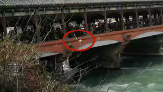 男子桥上训练狗跳水引质疑，蓝天救援队：系志愿者，常规训练