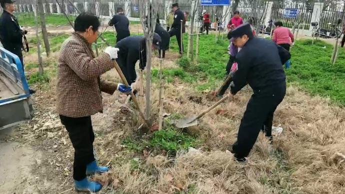 保护水源地，警民长江边植树捡垃圾