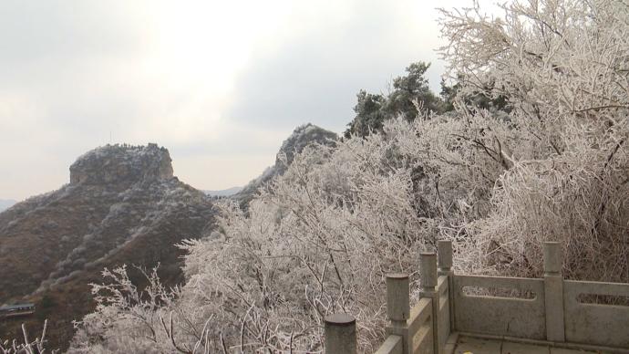 山东青州气温骤降，仰天山春季雾凇奇观上线