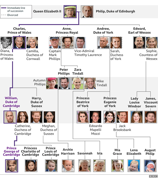 英国王室族谱图 图源:bbc