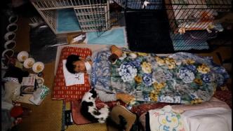 日本大地震10年：他独自留在福岛禁区守护64只猫