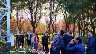 上海城市森林一年“创收”152亿元，计算方法如下