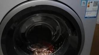 消费者称西门子洗衣机多次故障却“查无问题”，最终折旧退机