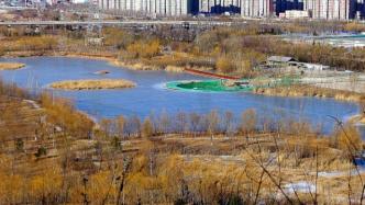 黄河治理｜优化水资源配置是黄河流域高质量发展的先手棋