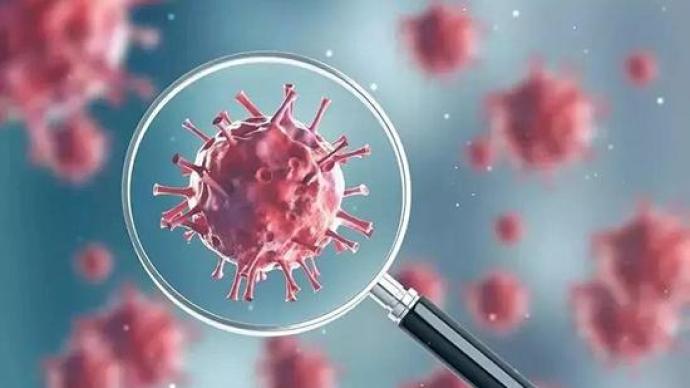 法国发现新的变异新冠病毒，或可逃避核酸检测