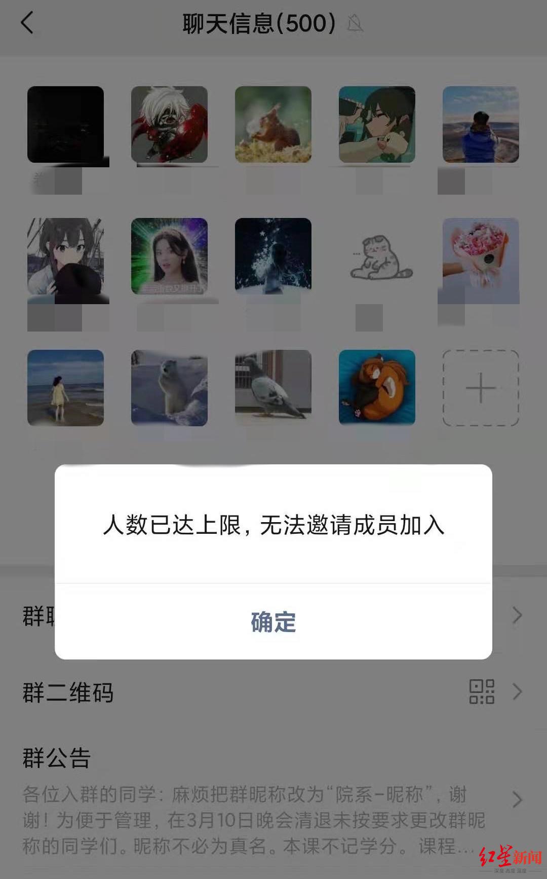 "摸鱼课"课程群已经人满 受访者供图
