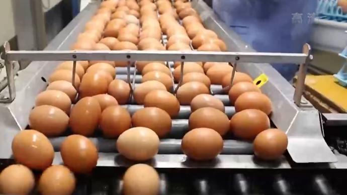 禽流感蔓延，日本多地鸡蛋价格年内已涨八成