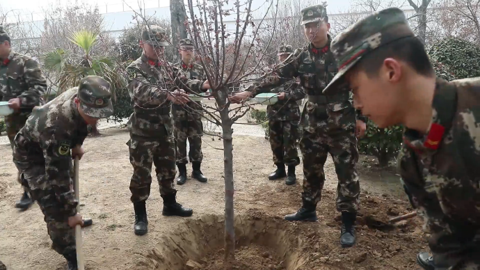 武警官兵植树把入伍初衷系枝头：扎根大地，像树一样不惧风雨