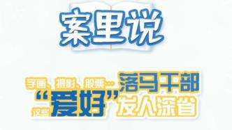 中纪委官网：字画、摄影、股票…落马干部这些“爱好”发人深省