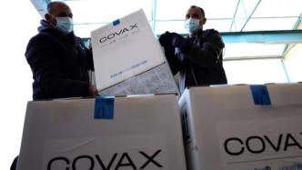 巴勒斯坦收到COVAX提供的首批6.2万剂新冠疫苗