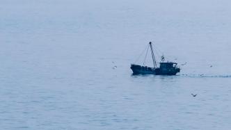 中使馆：牛轭礁是南沙群岛一部分，中方渔船在附近避风很正常