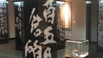 对话|上海美术馆协会会长：美术馆得有定力，要引领而非迎合