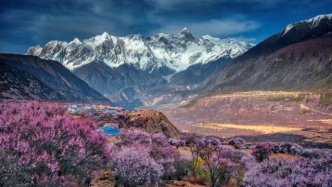 疫情好转旅游行业利好，西藏春季旅游开局火爆