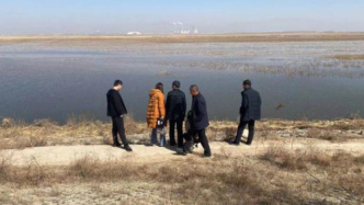 内蒙古黄河堤内丢弃死猪事件水质检测出炉：最大超标数0.4倍