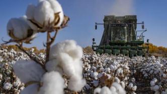 商务部回应H&M抵制新疆棉花：中国消费者已用实际行动回应