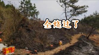安徽广德连发两起因祭祀不慎导致的山林火灾，消防呼吁防火