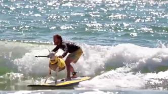 美国宠物山羊化身冲浪训练营陪练，帮助孩子克服恐惧
