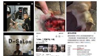 广州警方回应“柴犬遭一男子铁钳拔牙虐待”：已介入调查