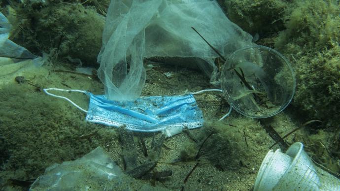 16亿枚口罩流入海洋成生态杀手:至少450年才能分解