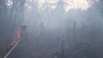 再访林中路①丨今年凉山州森林火灾次数同比下降超九成