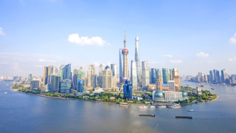 2020年上海市政府信息公开工作年度报告