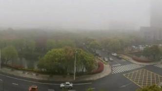 今晨上海大雾茫茫，但气象专家说：春天最美好的时段来了