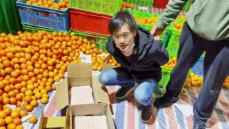 甜橙变“褚橙”卖出300余万元，上海警方破获假冒褚橙团伙