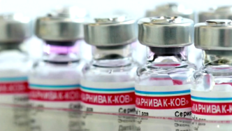 俄罗斯注册全球首支用于动物的新冠疫苗，或于4月批量生产