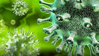 印媒报道世卫组织发布新冠病毒溯源报告，中国驻印使馆回应