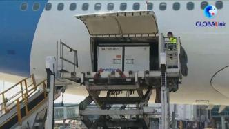 第4批中国新冠疫苗运抵塞尔维亚，塞总理机场迎接