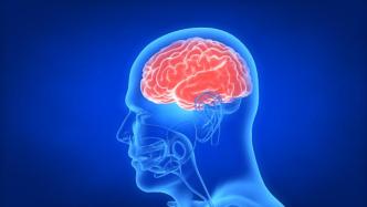 《柳叶刀》：研究发现超三分之一新冠治愈者出现脑部问题