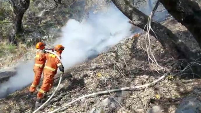 四川九龙县发生森林火灾，171名消防指战员前往扑救