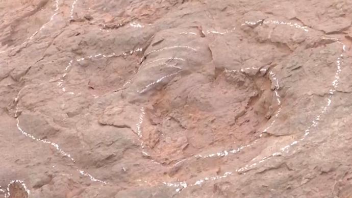 福建发现“恐龙舞池”：不足100平方米有200多枚足迹