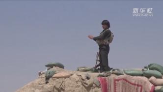 阿富汗国防部：阿政府军击毙91名塔利班武装分子