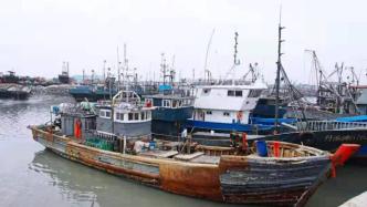 辽宁丹东“三无”渔船非法捕捞，海警局：拘留罚款并拆解船舶