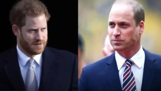 英媒：英女王禁止威廉与哈里在菲利普亲王葬礼上并肩而行