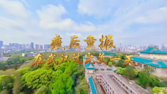 VR全景视频丨疫后重振，在武汉过完美一天