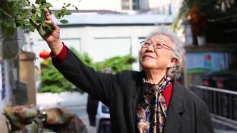 92岁奶奶心系古迹，成年龄最大的南京城墙保护志愿者