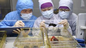 该如何善待实验动物？上海肿瘤医院有个暖心的实验动物中心