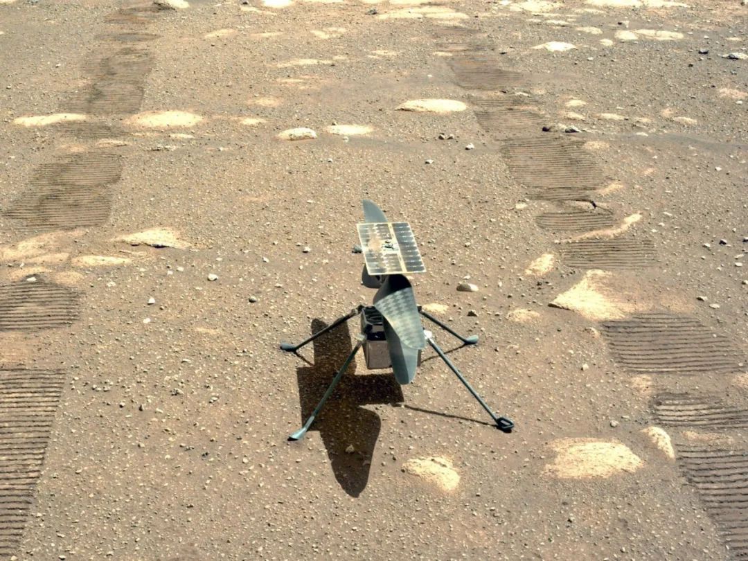 停放在火星表面的机智号直升机