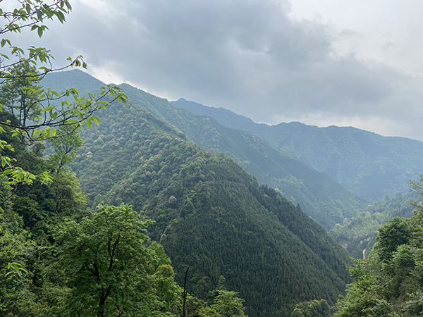 大山深处的艳林村本文图片均为 澎湃新闻记者 王鑫 图