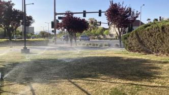 全球城市观察｜干旱的拉斯维加斯，试图铲除草坪以节水