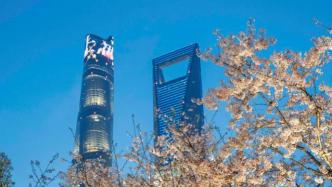 上海决定推进环城生态公园带建设，叠加文化、娱乐和健身设施