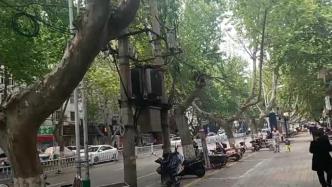 安徽淮北园林局外包公司员工修剪树木时触电，经抢救无效死亡