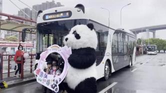 超萌熊猫公交车即日上线，上海徐汇滨江沿岸再添移动风景线