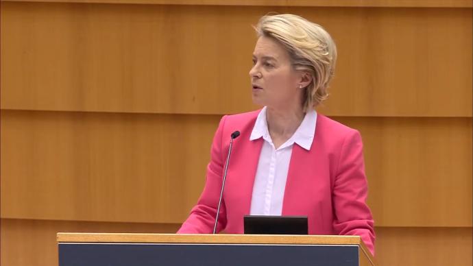 冯德莱恩回应沙发门未得平等对待或只因是女性