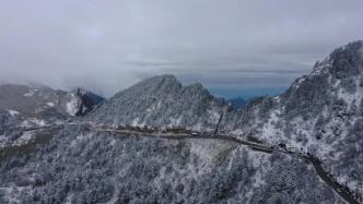 湖北神农架今晨降雪，不到半小时路上有积雪