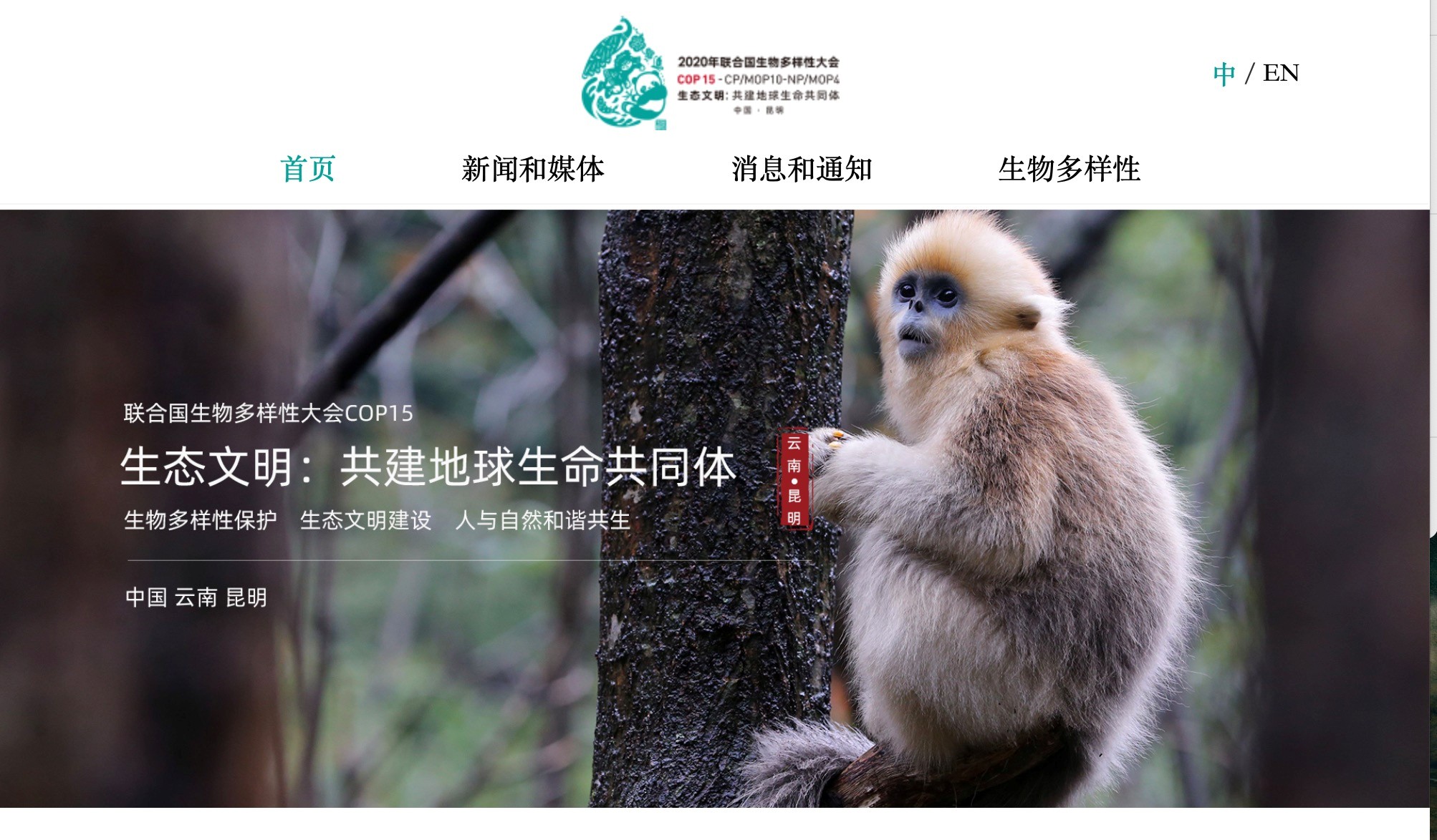 cop15东道国网站网站首页