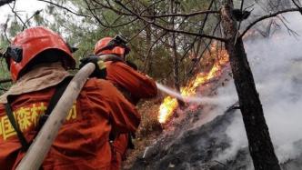 四川冕宁县3月以来发生4次森林火灾，主要领导被免职